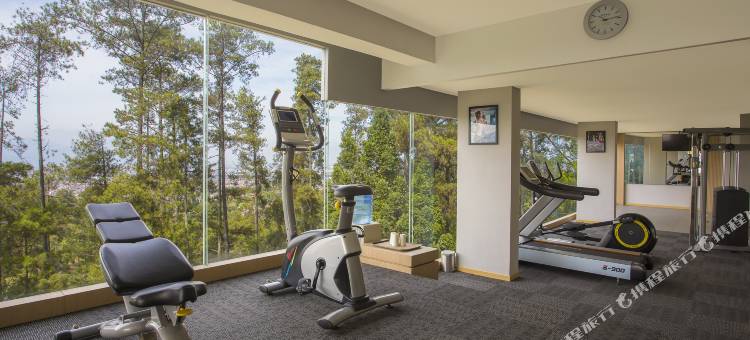 达戈传承瑞士贝尔度假村(Swiss-Belresort Dago Heritage)图片