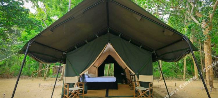 韦帕图花豹小径旅馆(Leopard Trails Wilpattu)图片