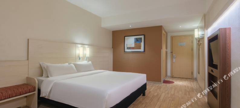 安阳世纪星都市易家酒店(安阳火车站仓巷街店)图片