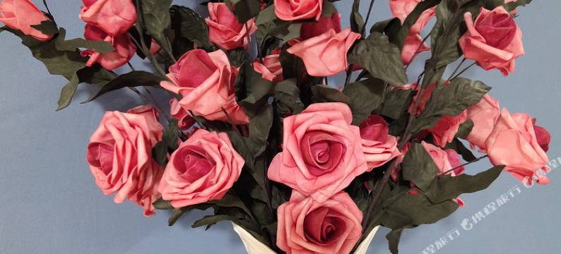 哈尔滨途安公寓图片