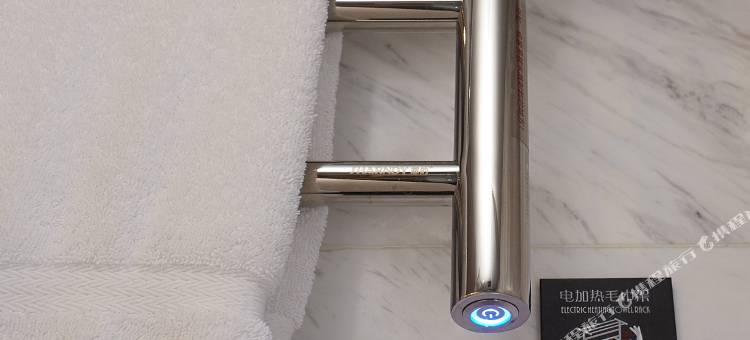 扬州东高铁站美居酒店(京杭大运河店)图片