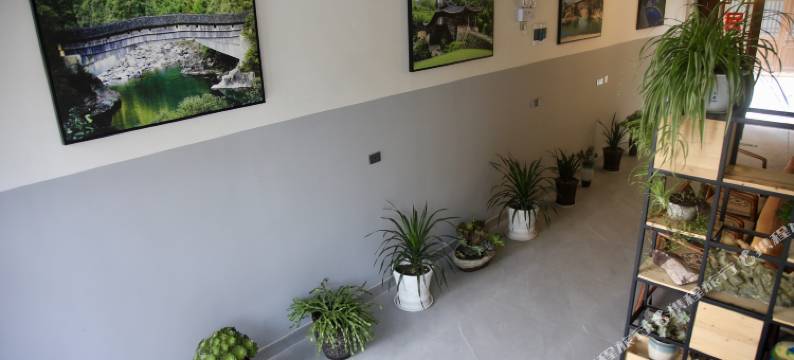 泰顺岚氡民宿图片