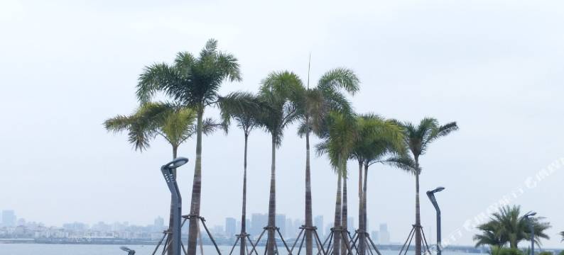 厦门陈佳妍公寓图片