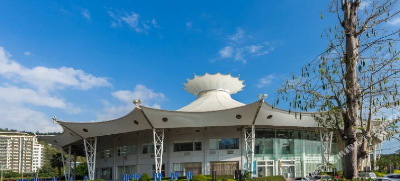 三亚大树七星酒店图片