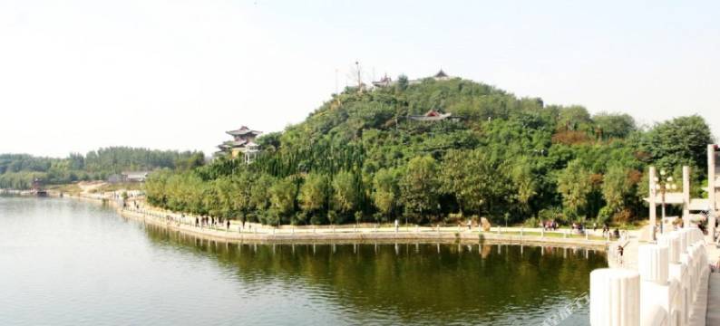 东阿泰悦大酒店图片