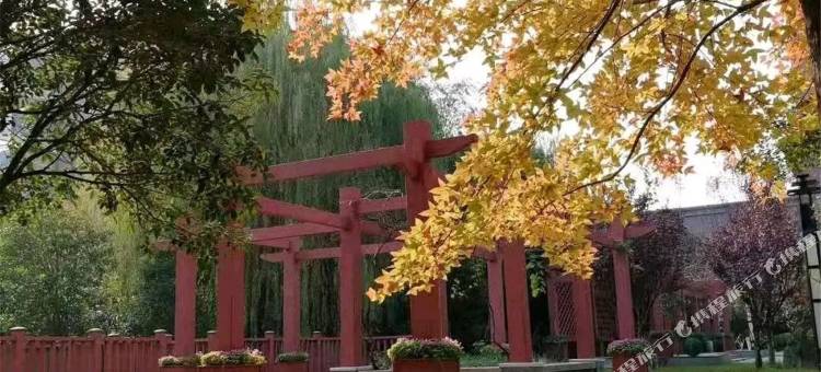 淮南凤台国际饭店图片