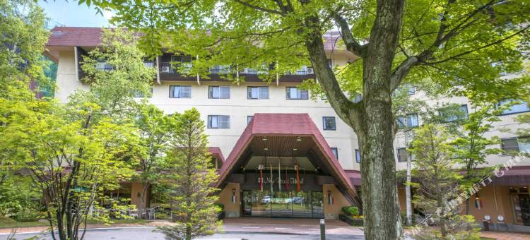草津现代度假酒店(Kusatsu Now Resort Hotel)图片