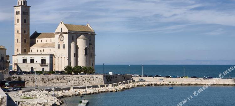 卡尔杜奇罗马纳齐美美居别墅酒店(Mercure Villa Romanazzi Carducci Bari)图片