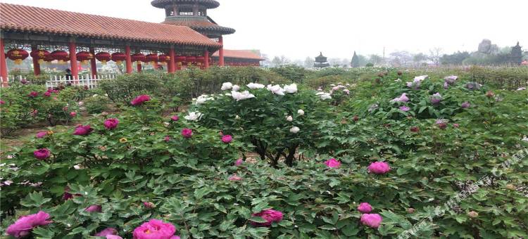 都市118连锁酒店(人民北路店)图片