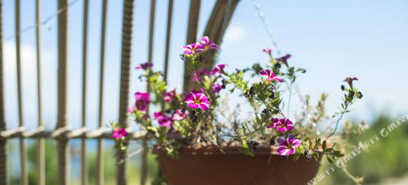 海韵居海景民宿图片