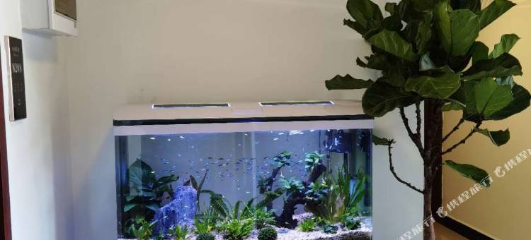 上海悦朋宾馆图片