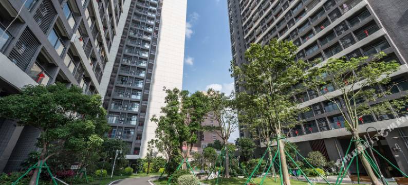 维客诺菲尔国际公寓(佛山朝安碧桂园店)图片