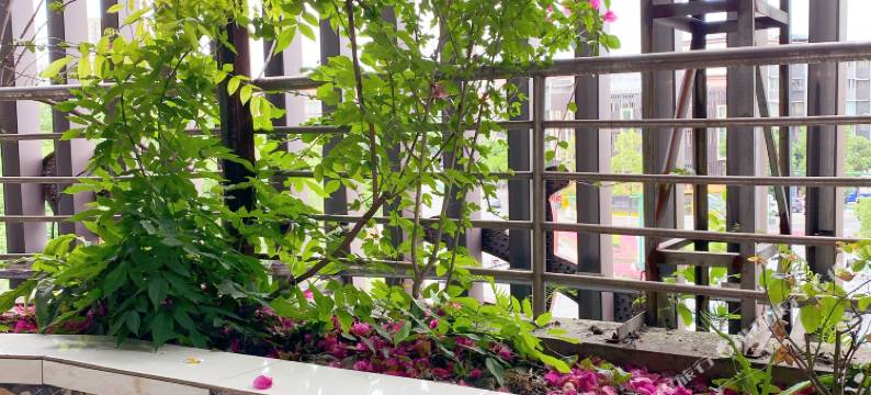 青神七星宾馆图片