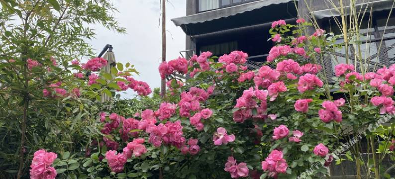 苏州树山情调清禅精品民宿图片