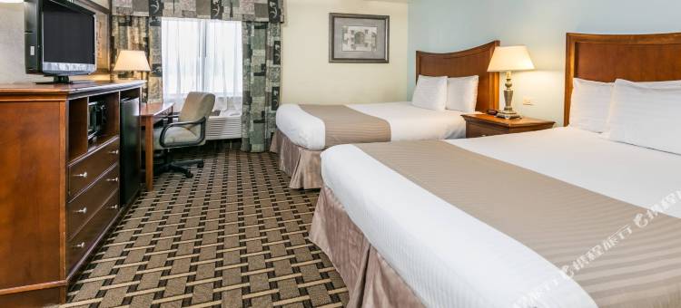 阿林顿六旗大道温德姆呗盟套房酒店(Baymont by Wyndham Arlington)图片