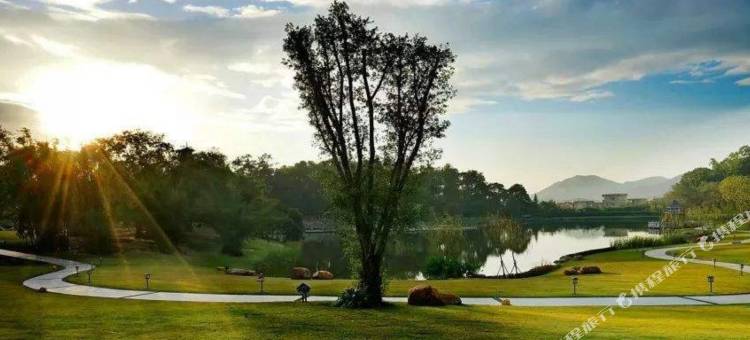 云浮新兴龙山温泉酒店图片