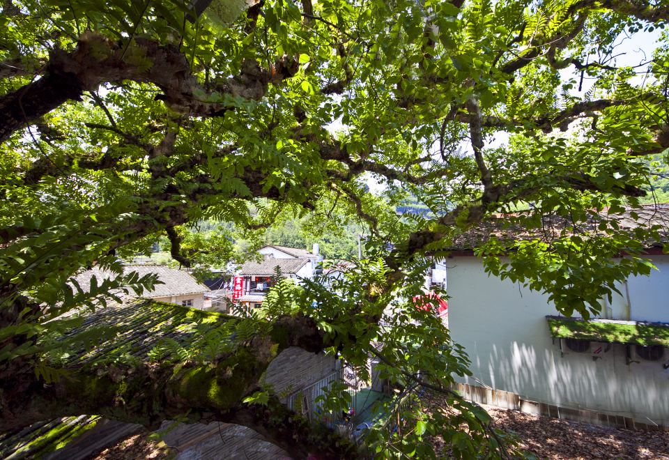 banshuirenjiaHotel Overview