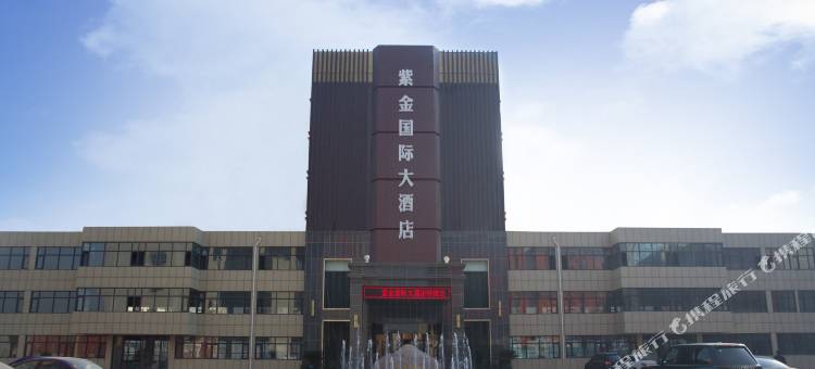 东阿紫金国际大酒店图片