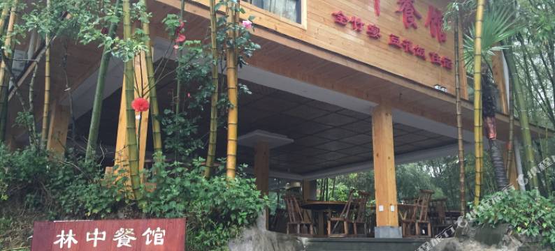 蜀南竹海林中餐馆图片