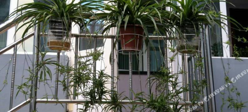 伊宁泽汇宾馆图片