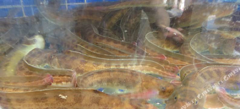 东戴河御龙湾大酒店A座图片