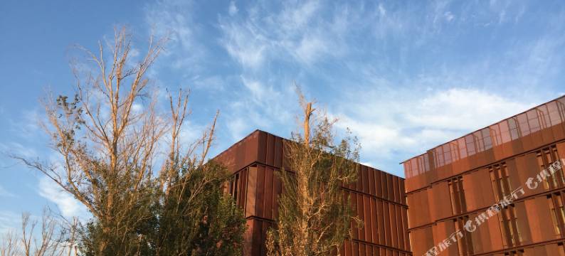 精河孵梦森林精品酒店图片