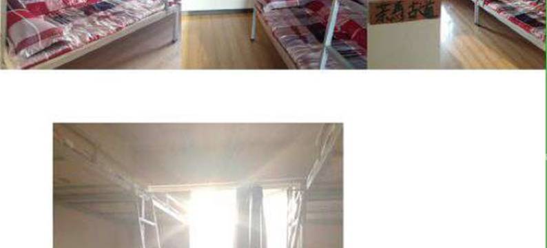 昆明流浪猫念夏火车站店图片