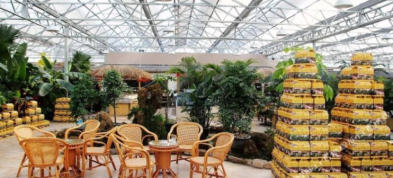 青岛世苑丽舍商务酒店图片