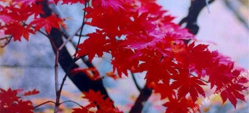 五女峰天成宾馆图片