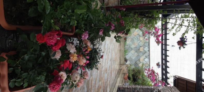 西充凯旋门大酒店图片