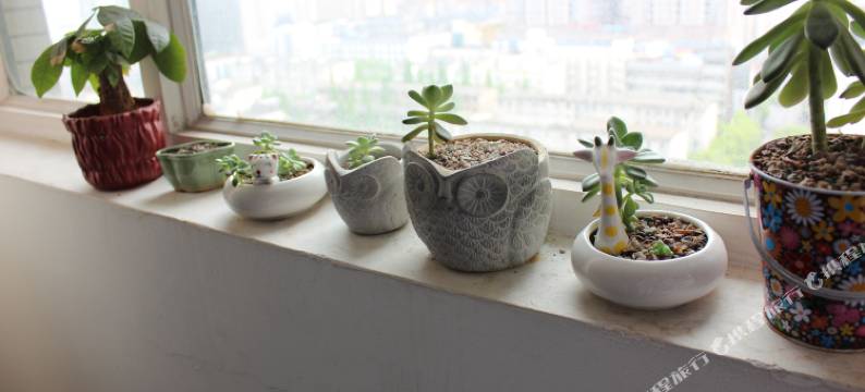 长沙旅行家太空舱青年客栈图片