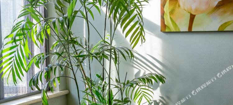 宜洋商务电竞酒店(雅顿店)图片