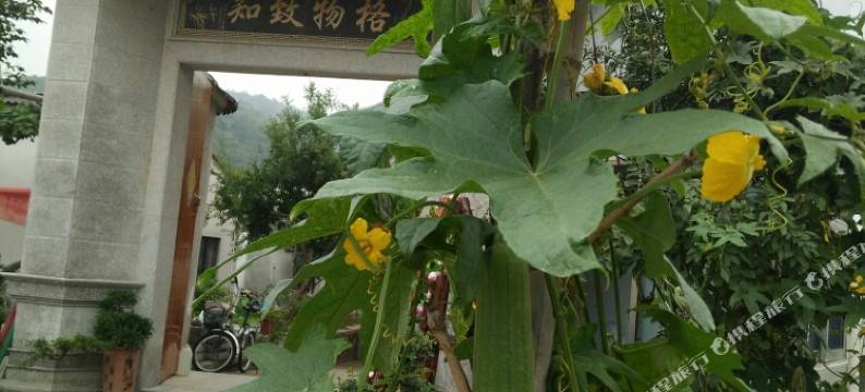 苏州庭悦人家农家乐图片