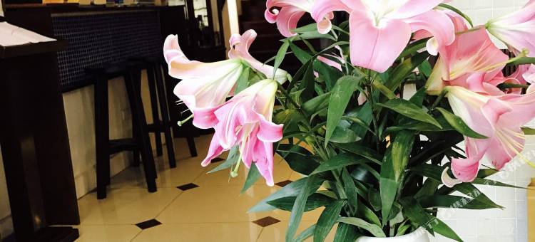 希纳蒙大教堂酒店(Cinnamon Cathedral Hotel)图片