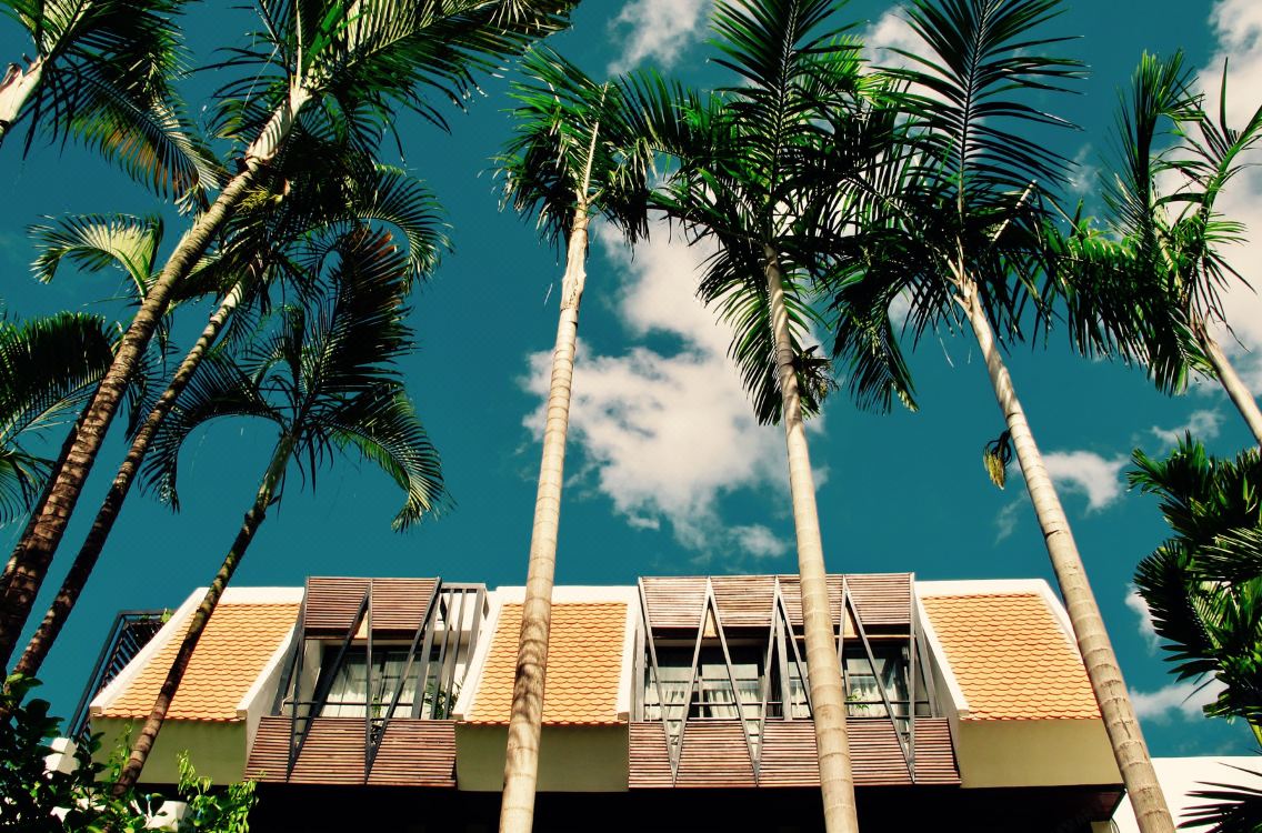 The Butterfly Pea Hotel Reviews And Room Rates