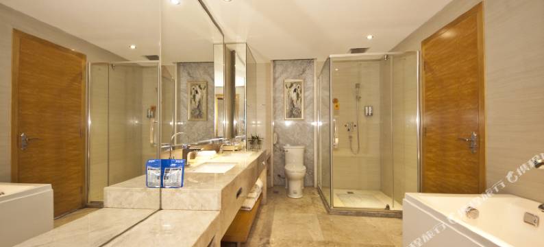 卡瑞登·城市酒店图片