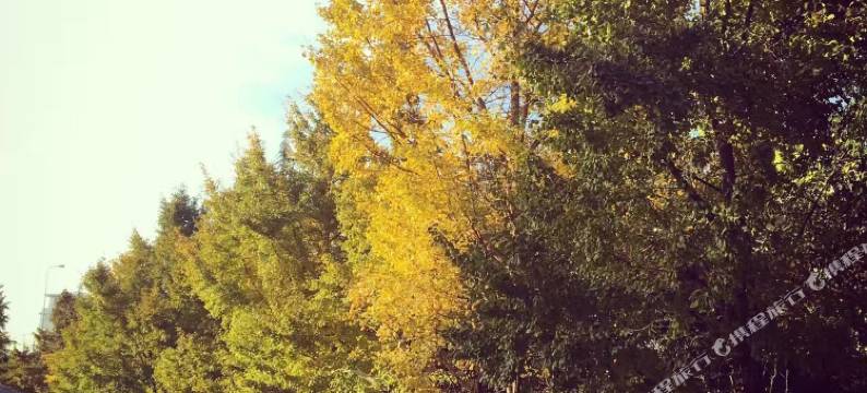 上海醒山老洋房民宿图片