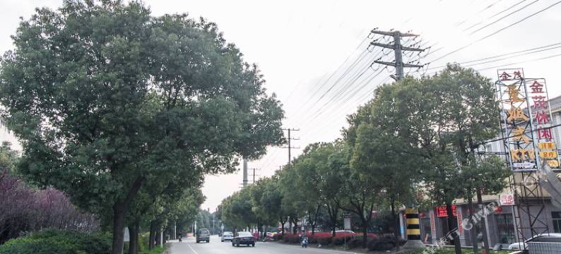 江阴澄茂大酒店(祝塘镇店)图片