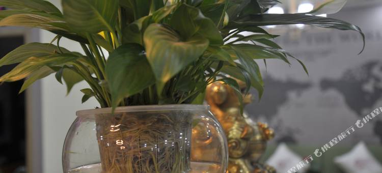 张掖福臻酒店图片