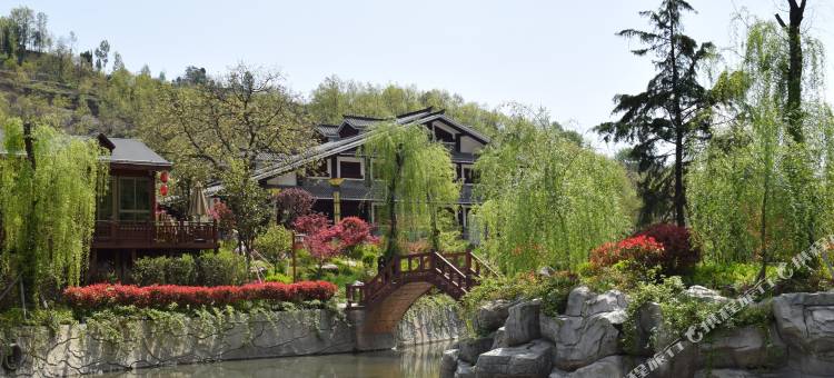 康县花桥菩提庄园图片