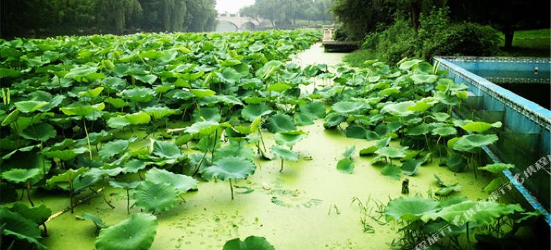 上海蓝派别墅派对轰趴馆(林荫新路分店)图片