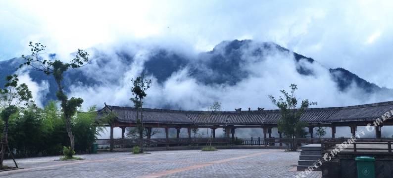 龙泉林趣家园住宿图片