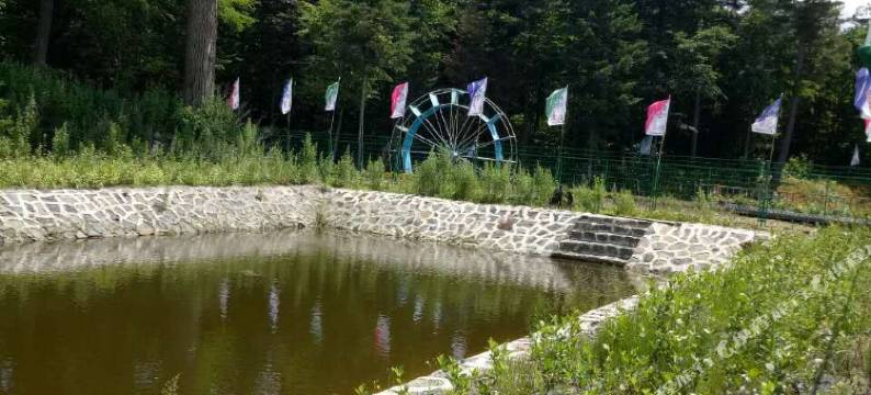 长白山松柏大妈旅饭店图片