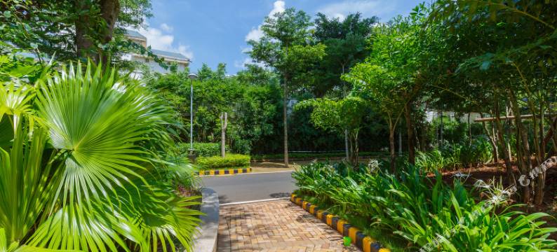 澄迈515驿站图片