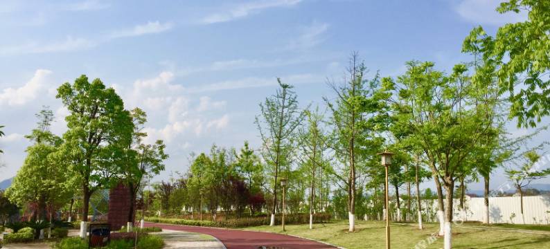 武夷山六悦山溪酒店(三姑度假区崇溪漫步道店)图片