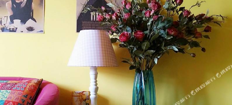 成都橘子民宿(成都东站店)图片