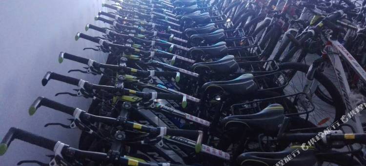 海口小红莓青年旅舍图片