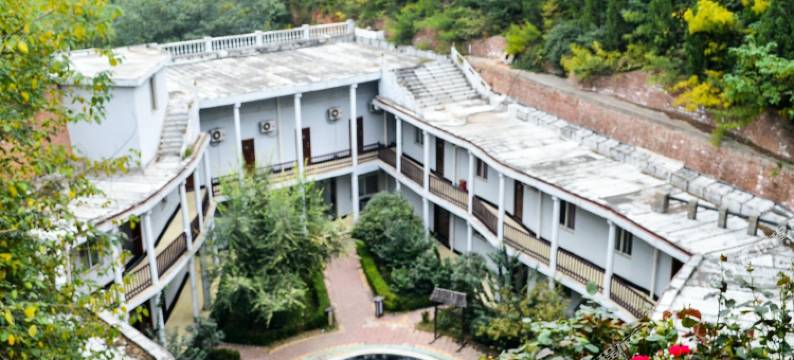 洛阳银杏仙庄图片