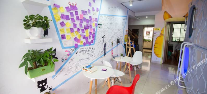 长沙猫窝太空舱青年旅舍图片