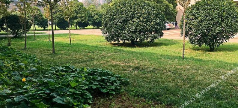 洛阳牡丹公园旁独立一居公寓(分店)图片